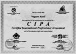 CAP (Certified International Professional Accountant)